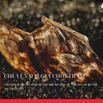 Chuyện đại gia chơi trầm