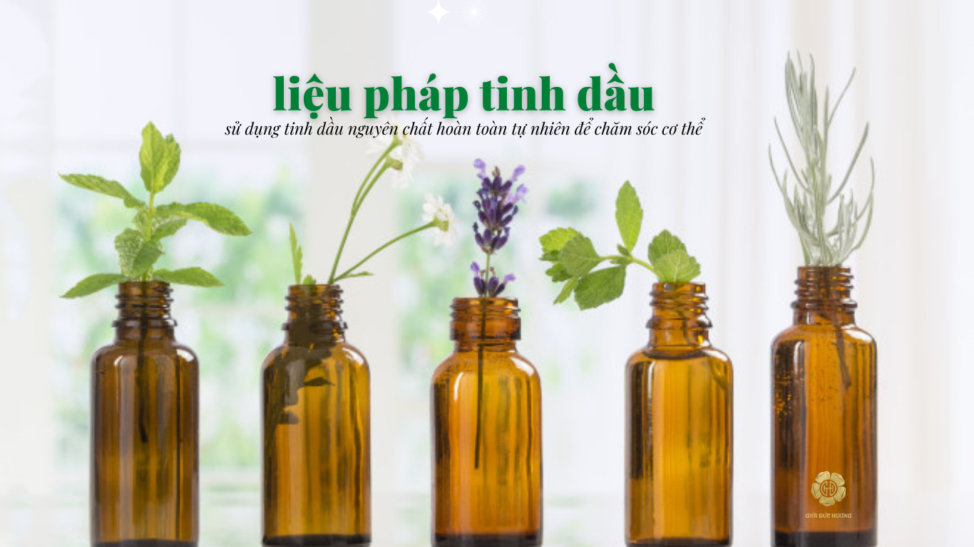 suc-manh-cua-tinh-dau